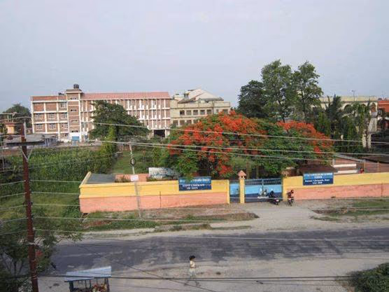 Little Flowers' English School logo